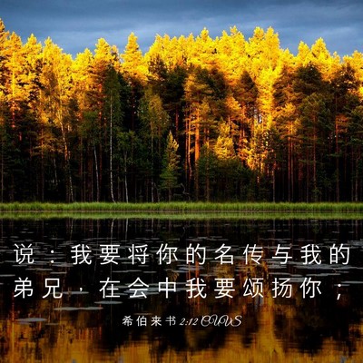 Picture 03 - 希 伯 来 书 2:12 CUVS - 说 ： 我 要 将 你 的 名 传 与 我 的 - Bible Verse Picture