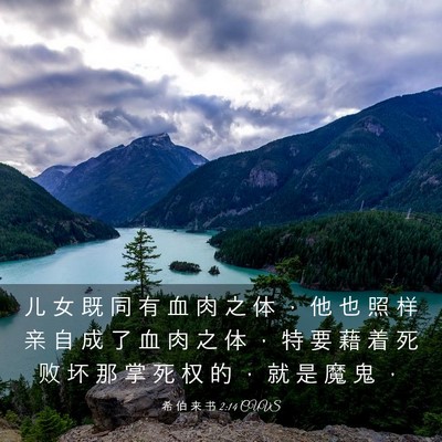 Picture 03 - 希 伯 来 书 2:14 CUVS - 儿 女 既 同 有 血 肉 之 体 ， 他 也 - Bible Verse Picture