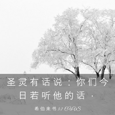 Picture 03 - 希 伯 来 书 3:7 CUVS - 圣 灵 有 话 说 ： 你 们 今 日 若 听 - Bible Verse Picture