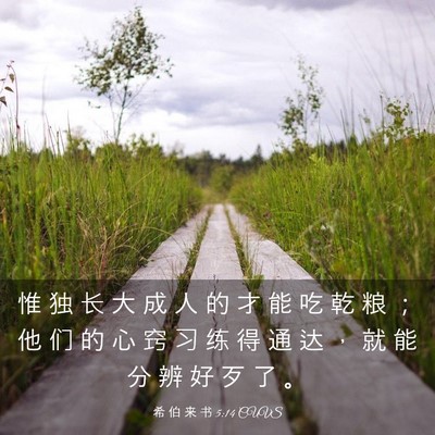 Picture 03 - 希 伯 来 书 5:14 CUVS - 惟 独 长 大 成 人 的 才 能 吃 乾 粮 - Bible Verse Picture