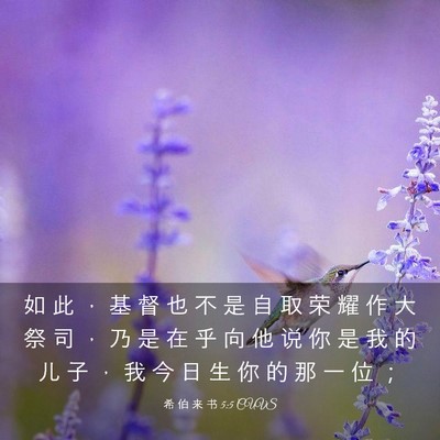 Picture 03 - 希 伯 来 书 5:5 CUVS - 如 此 ， 基 督 也 不 是 自 取 荣 耀 - Bible Verse Picture