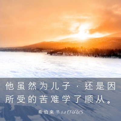 Picture 03 - 希 伯 来 书 5:8 CUVS - 他 虽 然 为 儿 子 ， 还 是 因 所 受 - Bible Verse Picture