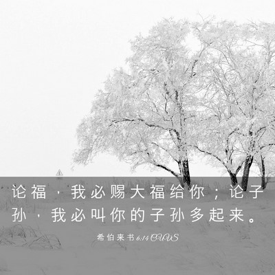 Picture 03 - 希 伯 来 书 6:14 CUVS - 论 福 ， 我 必 赐 大 福 给 你 ； 论 - Bible Verse Picture