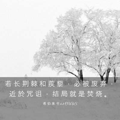 Picture 03 - 希 伯 来 书 6:8 CUVS - 若 长 荆 棘 和 蒺 藜 ， 必 被 废 弃 - Bible Verse Picture