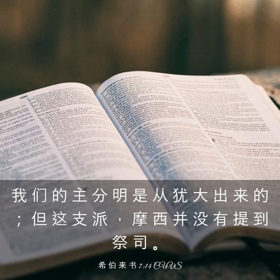 Picture 03 - 希 伯 来 书 7:14 CUVS - 我 们 的 主 分 明 是 从 犹 大 出 来 - Bible Verse Picture