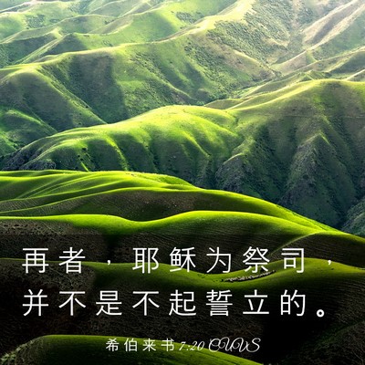 Picture 03 - 希 伯 来 书 7:20 CUVS - 再 者 ， 耶 稣 为 祭 司 ， 并 不 是 - Bible Verse Picture