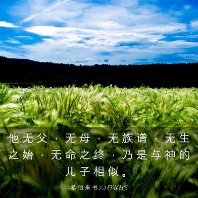 Picture 03 - 希 伯 来 书 7:3 CUVS - 他 无 父 ， 无 母 ， 无 族 谱 ， 无 - Bible Verse Picture