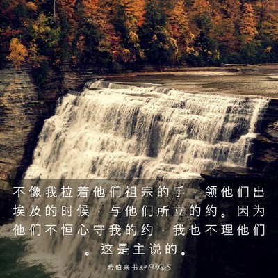 Picture 03 - 希 伯 来 书 8:9 CUVS - 不 像 我 拉 着 他 们 祖 宗 的 手 ， - Bible Verse Picture