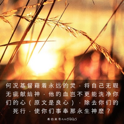 Picture 03 - 希 伯 来 书 9:14 CUVS - 何 况 基 督 藉 着 永 远 的 灵 ， 将 - Bible Verse Picture