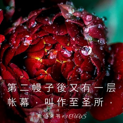 Picture 03 - 希 伯 来 书 9:3 CUVS - 第 二 幔 子 後 又 有 一 层 帐 幕 ， - Bible Verse Picture