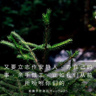 Picture 03 - 帖 撒 罗 尼 迦 前 书 4:11 CUVS - 又 要 立 志 作 安 静 人 ， 办 自 己 - Bible Verse Picture
