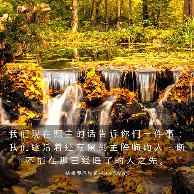 Picture 03 - 帖 撒 罗 尼 迦 前 书 4:15 CUVS - 我 们 现 在 照 主 的 话 告 诉 你 们 - Bible Verse Picture