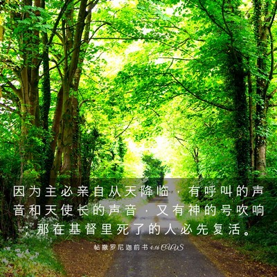 Picture 03 - 帖 撒 罗 尼 迦 前 书 4:16 CUVS - 因 为 主 必 亲 自 从 天 降 临 ， 有 - Bible Verse Picture