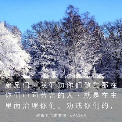Picture 03 - 帖 撒 罗 尼 迦 前 书 5:12 CUVS - 弟 兄 们 ， 我 们 劝 你 们 敬 重 那 - Bible Verse Picture