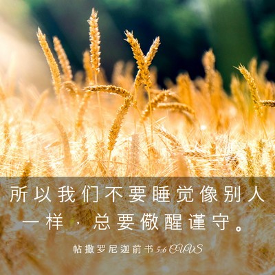 Picture 03 - 帖 撒 罗 尼 迦 前 书 5:6 CUVS - 所 以 我 们 不 要 睡 觉 像 别 人 一 - Bible Verse Picture
