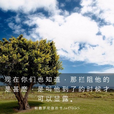 Picture 03 - 帖 撒 罗 尼 迦 后 书 2:6 CUVS - 现 在 你 们 也 知 道 ， 那 拦 阻 他 - Bible Verse Picture