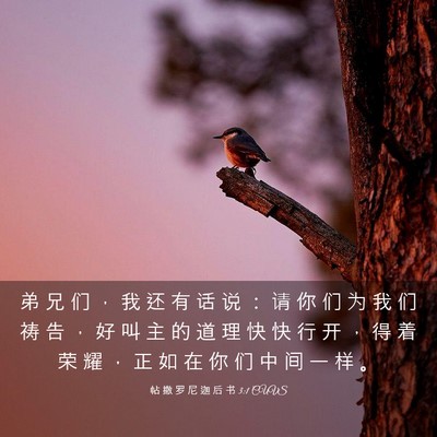 Picture 03 - 帖 撒 罗 尼 迦 后 书 3:1 CUVS - 弟 兄 们 ， 我 还 有 话 说 ： 请 你 - Bible Verse Picture