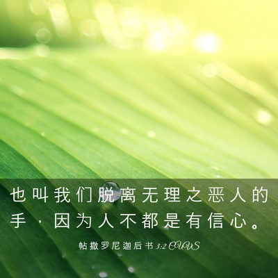 Picture 03 - 帖 撒 罗 尼 迦 后 书 3:2 CUVS - 也 叫 我 们 脱 离 无 理 之 恶 人 的 - Bible Verse Picture