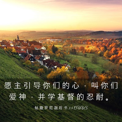 Picture 03 - 帖 撒 罗 尼 迦 后 书 3:5 CUVS - 愿 主 引 导 你 们 的 心 ， 叫 你 们 - Bible Verse Picture