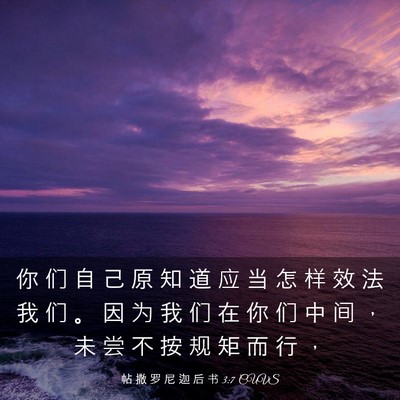 Picture 03 - 帖 撒 罗 尼 迦 后 书 3:7 CUVS - 你 们 自 己 原 知 道 应 当 怎 样 效 - Bible Verse Picture