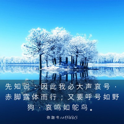 Picture 03 - 弥 迦 书 1:8 CUVS - 先 知 说 ： 因 此 我 必 大 声 哀 号 - Bible Verse Picture