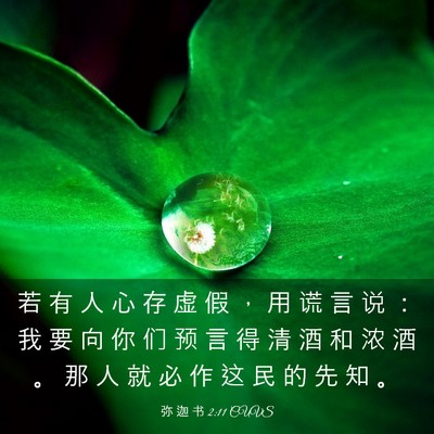 Picture 03 - 弥 迦 书 2:11 CUVS - 若 有 人 心 存 虚 假 ， 用 谎 言 说 - Bible Verse Picture