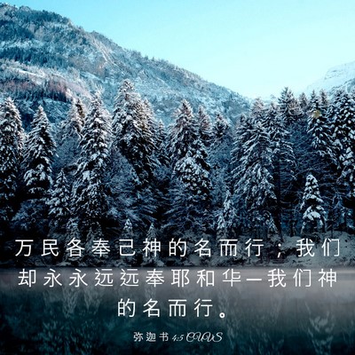 Picture 03 - 弥 迦 书 4:5 CUVS - 万 民 各 奉 己 神 的 名 而 行 ； 我 - Bible Verse Picture
