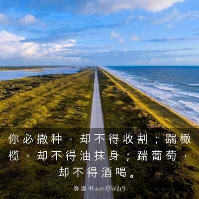 Picture 03 - 弥 迦 书 6:15 CUVS - 你 必 撒 种 ， 却 不 得 收 割 ； 踹 - Bible Verse Picture