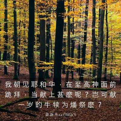 Picture 03 - 弥 迦 书 6:6 CUVS - 我 朝 见 耶 和 华 ， 在 至 高 神 面 - Bible Verse Picture