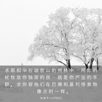 Picture 03 - 弥 迦 书 7:14 CUVS - 求 耶 和 华 在 迦 密 山 的 树 林 中 - Bible Verse Picture