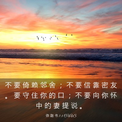 Picture 03 - 弥 迦 书 7:5 CUVS - 不 要 倚 赖 邻 舍 ； 不 要 信 靠 密 - Bible Verse Picture