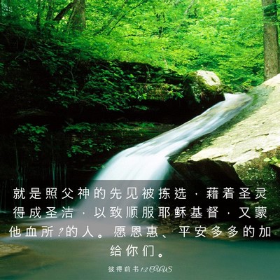 Picture 03 - 彼 得 前 书 1:2 CUVS - 就 是 照 父 神 的 先 见 被 拣 选 ， - Bible Verse Picture