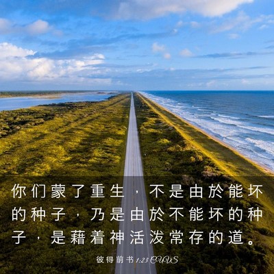 Picture 03 - 彼 得 前 书 1:23 CUVS - 你 们 蒙 了 重 生 ， 不 是 由 於 能 - Bible Verse Picture