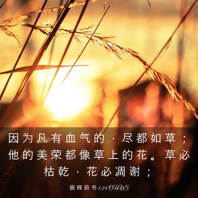 Picture 03 - 彼 得 前 书 1:24 CUVS - 因 为 凡 有 血 气 的 ， 尽 都 如 草 - Bible Verse Picture