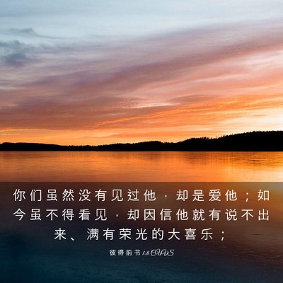 Picture 03 - 彼 得 前 书 1:8 CUVS - 你 们 虽 然 没 有 见 过 他 ， 却 是 - Bible Verse Picture
