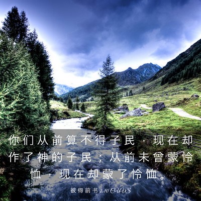Picture 03 - 彼 得 前 书 2:10 CUVS - 你 们 从 前 算 不 得 子 民 ， 现 在 - Bible Verse Picture