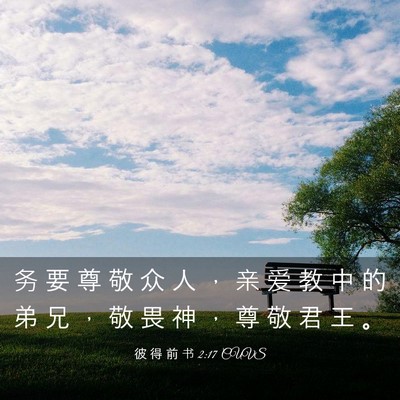 Picture 03 - 彼 得 前 书 2:17 CUVS - 务 要 尊 敬 众 人 ， 亲 爱 教 中 的 - Bible Verse Picture