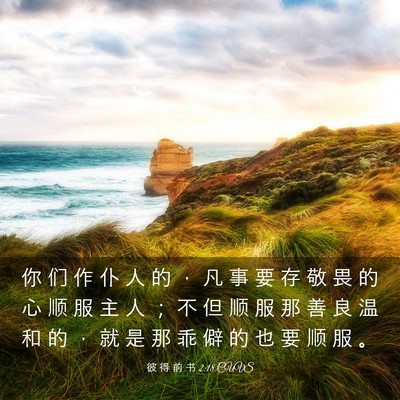 Picture 03 - 彼 得 前 书 2:18 CUVS - 你 们 作 仆 人 的 ， 凡 事 要 存 敬 - Bible Verse Picture