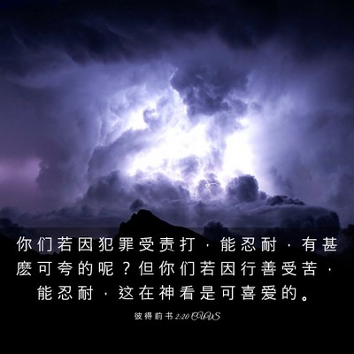 Picture 03 - 彼 得 前 书 2:20 CUVS - 你 们 若 因 犯 罪 受 责 打 ， 能 忍 - Bible Verse Picture
