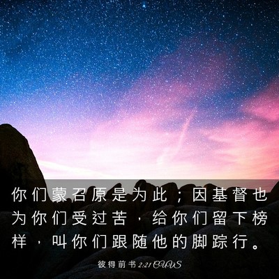 Picture 03 - 彼 得 前 书 2:21 CUVS - 你 们 蒙 召 原 是 为 此 ； 因 基 督 - Bible Verse Picture