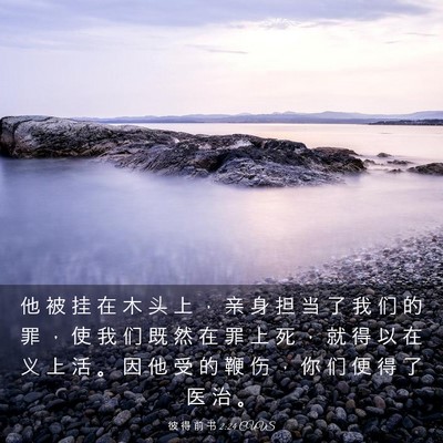Picture 03 - 彼 得 前 书 2:24 CUVS - 他 被 挂 在 木 头 上 ， 亲 身 担 当 - Bible Verse Picture