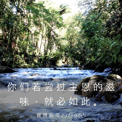 Picture 03 - 彼 得 前 书 2:3 CUVS - 你 们 若 尝 过 主 恩 的 滋 味 ， 就 - Bible Verse Picture