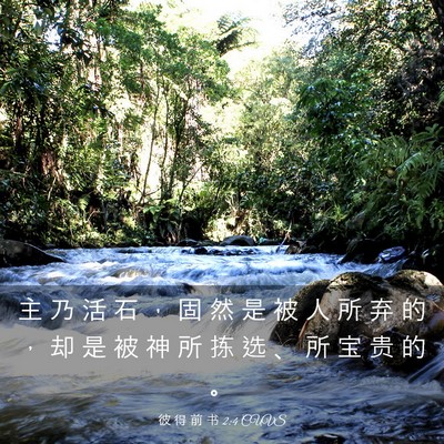 Picture 03 - 彼 得 前 书 2:4 CUVS - 主 乃 活 石 ， 固 然 是 被 人 所 弃 - Bible Verse Picture