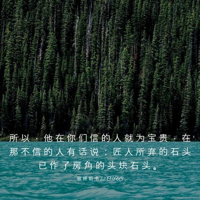 Picture 03 - 彼 得 前 书 2:7 CUVS - 所 以 ， 他 在 你 们 信 的 人 就 为 - Bible Verse Picture