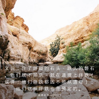 Picture 03 - 彼 得 前 书 2:8 CUVS - 又 说 ： 作 了 绊 脚 的 石 头 ， 跌 - Bible Verse Picture