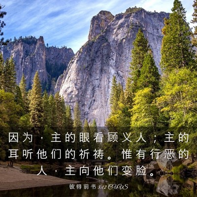 Picture 03 - 彼 得 前 书 3:12 CUVS - 因 为 ， 主 的 眼 看 顾 义 人 ； 主 - Bible Verse Picture