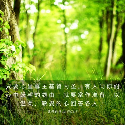 Picture 03 - 彼 得 前 书 3:15 CUVS - 只 要 心 里 尊 主 基 督 为 圣 。 有 - Bible Verse Picture