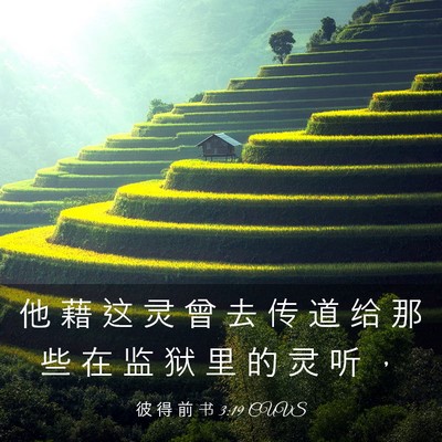 Picture 03 - 彼 得 前 书 3:19 CUVS - 他 藉 这 灵 曾 去 传 道 给 那 些 在 - Bible Verse Picture