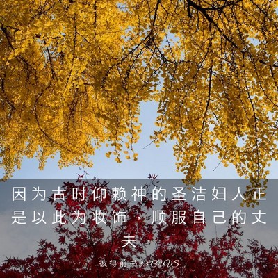 Picture 03 - 彼 得 前 书 3:5 CUVS - 因 为 古 时 仰 赖 神 的 圣 洁 妇 人 - Bible Verse Picture