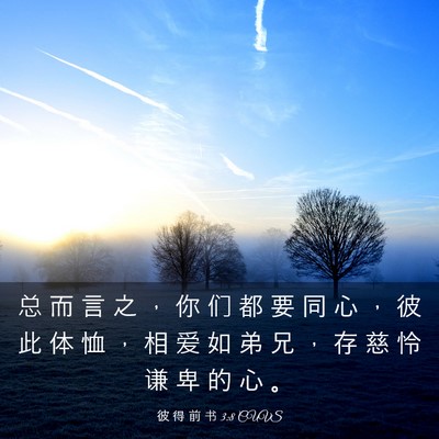 Picture 03 - 彼 得 前 书 3:8 CUVS - 总 而 言 之 ， 你 们 都 要 同 心 ， - Bible Verse Picture